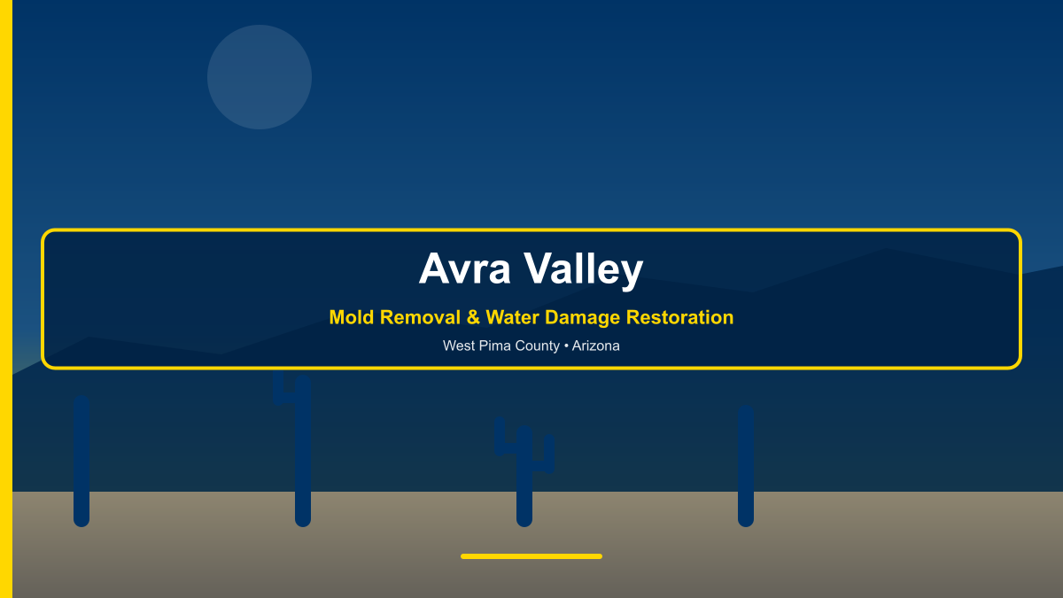 Mold removal and water damage restoration in Avra Valley Arizona