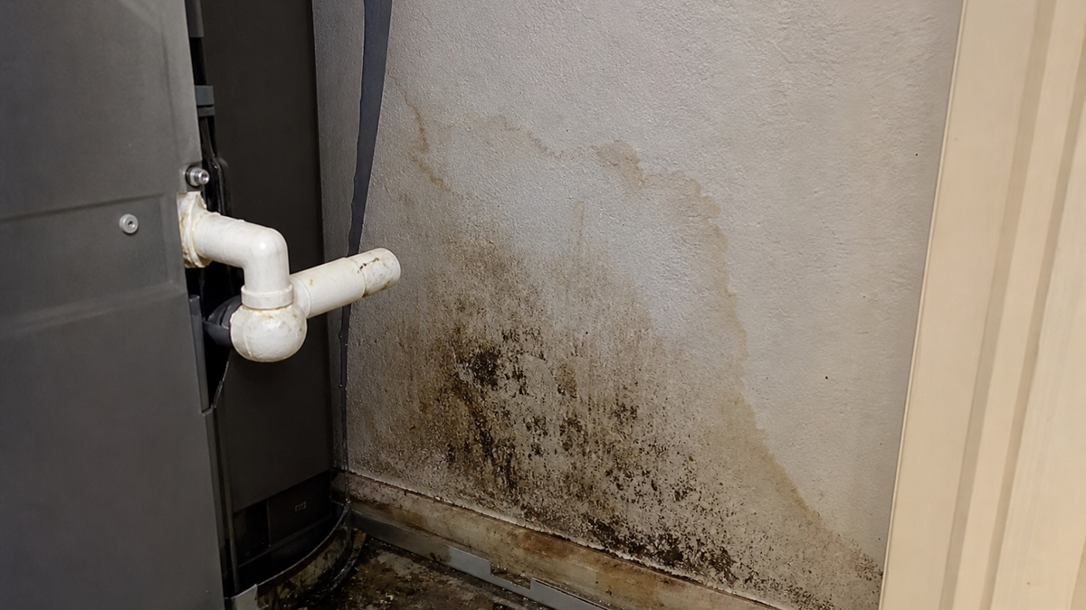 Water damage and mold in HVAC closet from AC condensate line leak in Tucson home