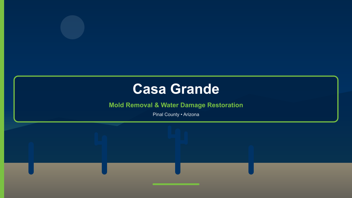 Mold removal and water damage restoration in Casa Grande Arizona