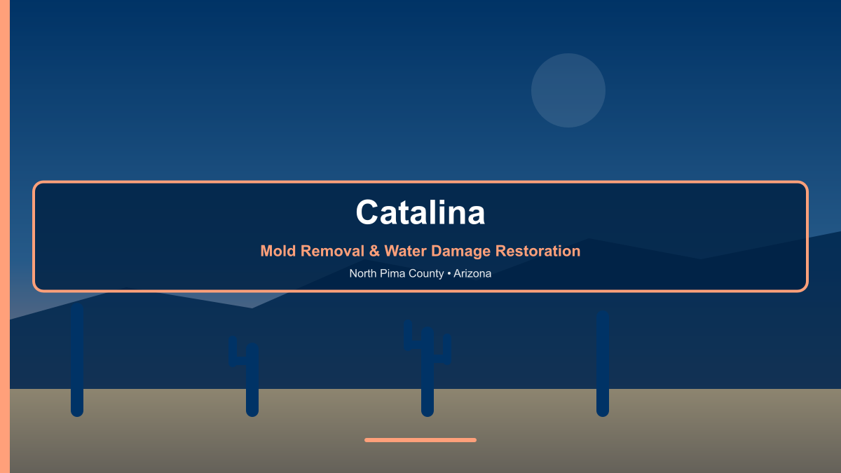 Catalina Arizona — professional mold removal and water damage restoration