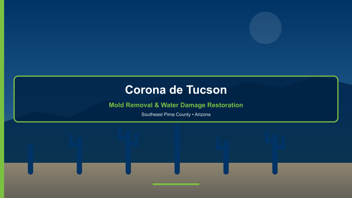 Mold removal and water damage restoration in Corona de Tucson Arizona