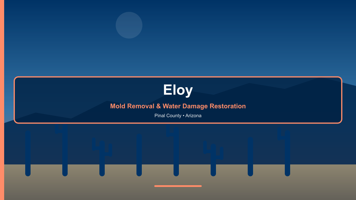 Mold removal and water damage restoration in Eloy Arizona