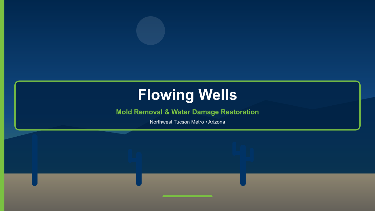 Flowing Wells Arizona — professional mold removal and water damage restoration