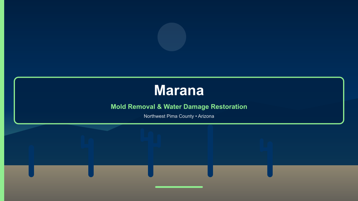 Marana Arizona — professional mold removal and water damage restoration