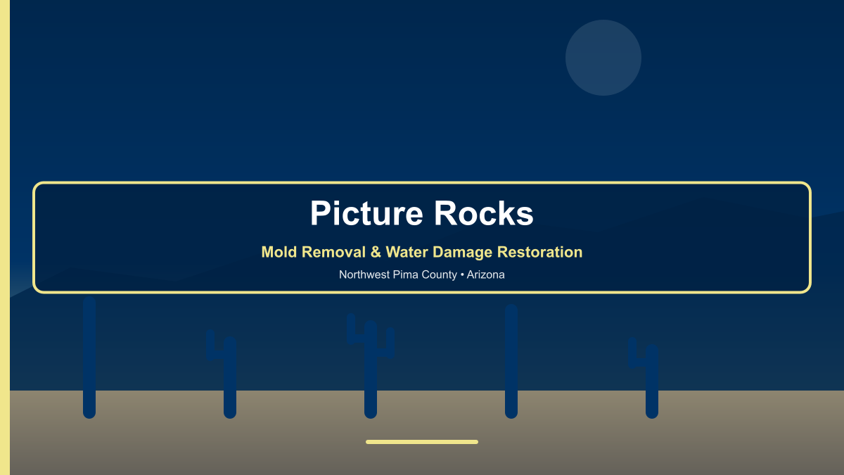 Mold removal and water damage restoration in Picture Rocks Arizona