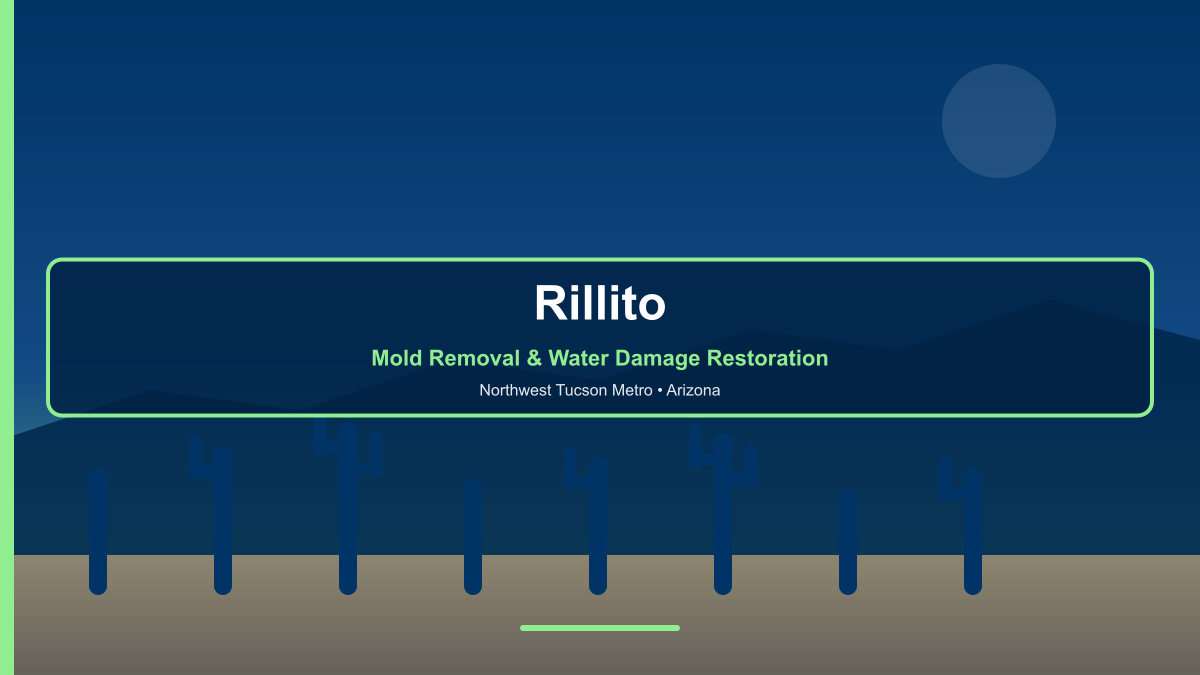 Rillito Arizona — professional mold removal and water damage restoration