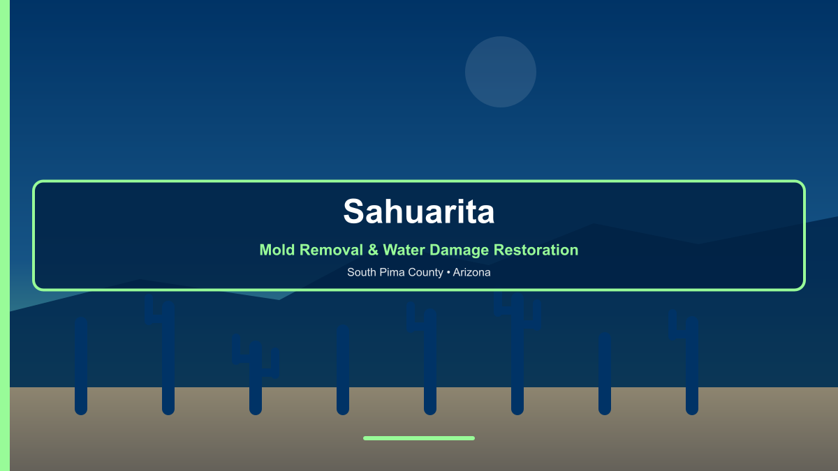 Mold removal and water damage restoration in Sahuarita Arizona