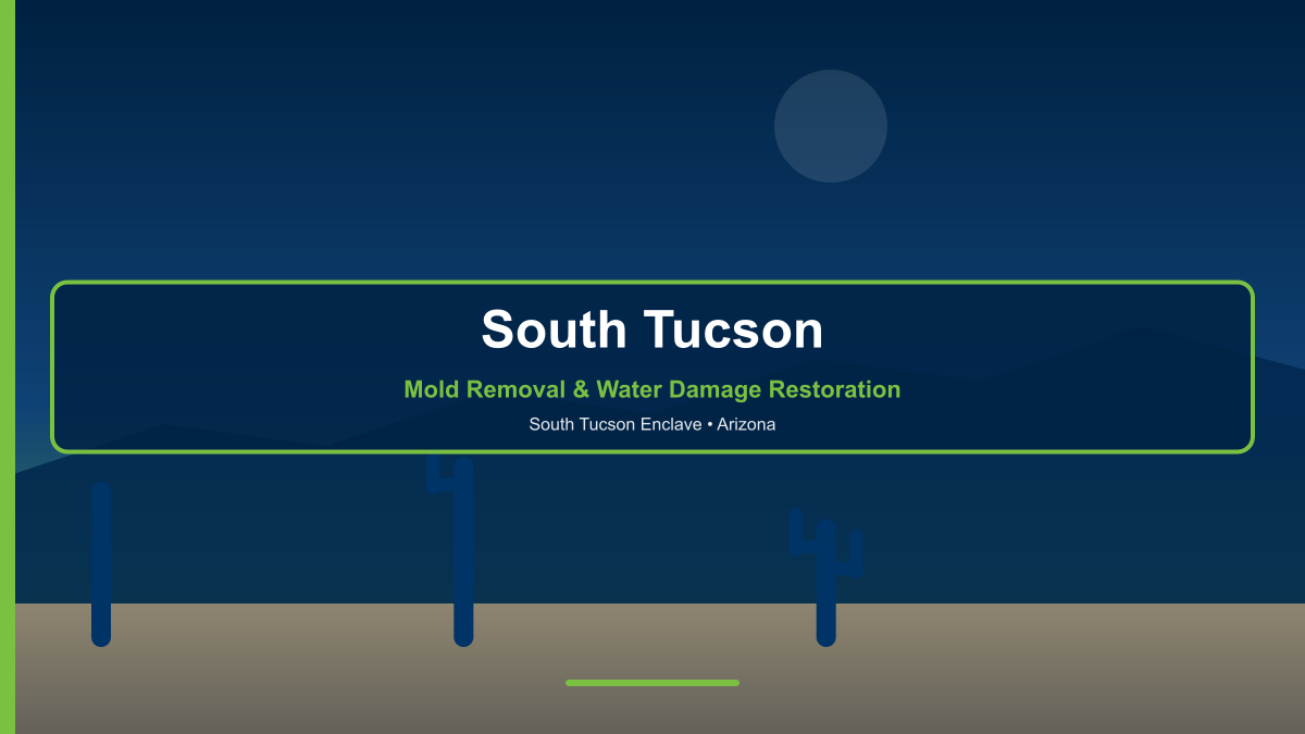 Mold removal and water damage restoration in South Tucson Arizona