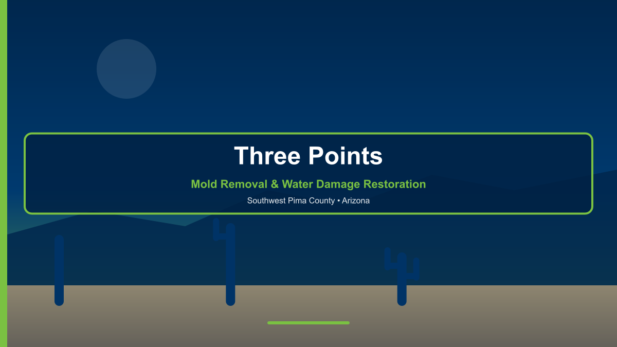 Three Points Arizona — professional mold removal and water damage restoration